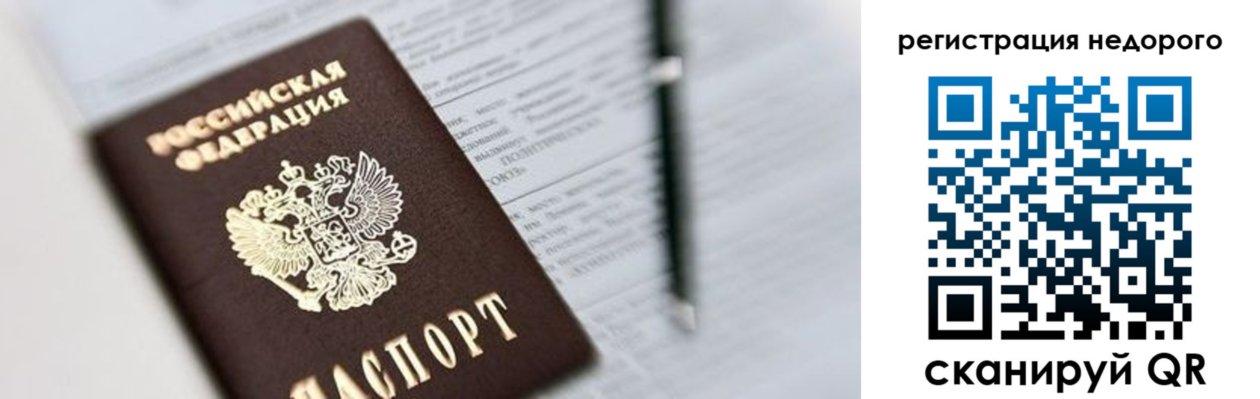 прописка гарантия в Приозерске